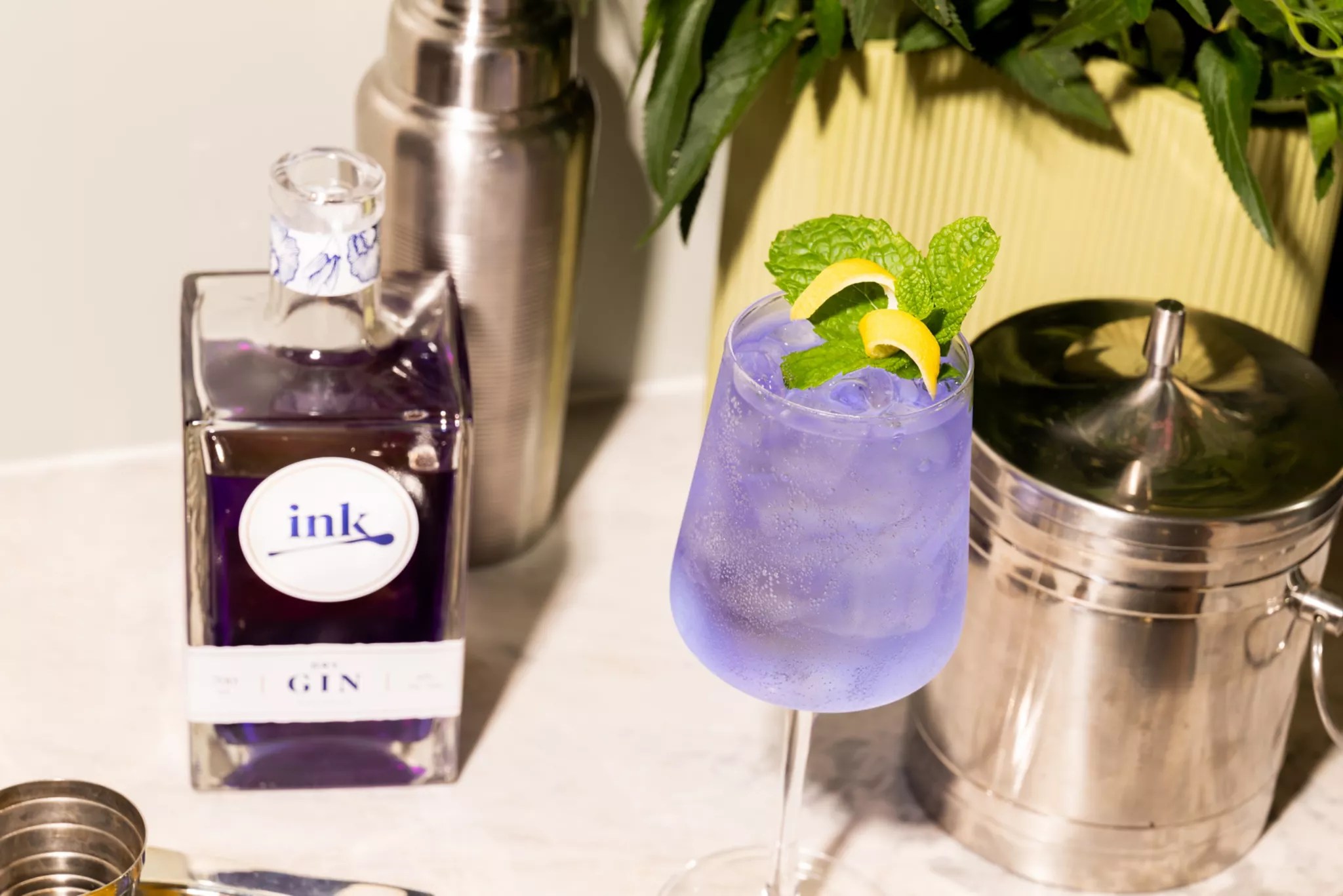 Top 4 Best Ways to Drink Ink Dry Gin (Cocktails, Spritz & more) Dan's